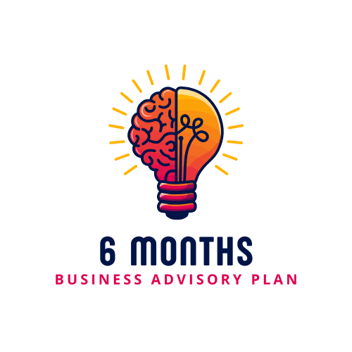 6 months business advisory plan