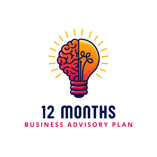 12 months business advisory plan